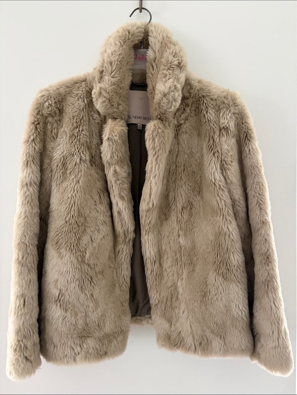 Sunday Best Plush Teddy Coat in Light Taupe